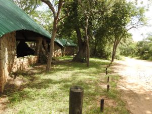 lawn next to the lapa area