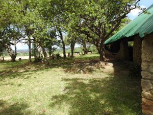 lawn next to the lapa area